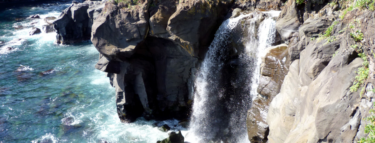 ɓ郖C݁u݋vƌ̑uΓ̑vmꂴi֍sĂ݂悤I