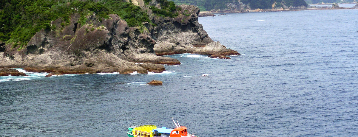 ɓœ[̒iIuΘL薦߂VDvŊCyރ|Cg