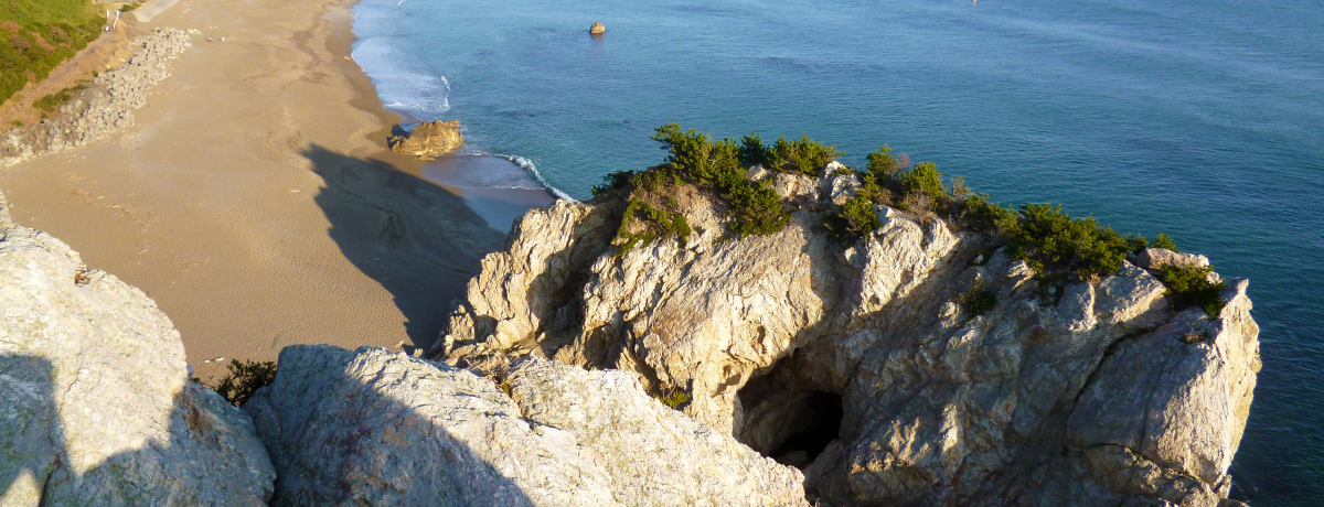 ɗǌΖɃh͂̐iĨp[X|bguo̐Ζv