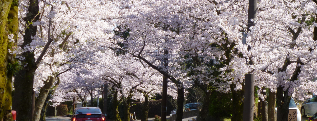 ɓŋ̍X|bgIɓsuɓ؁v̊yݕ