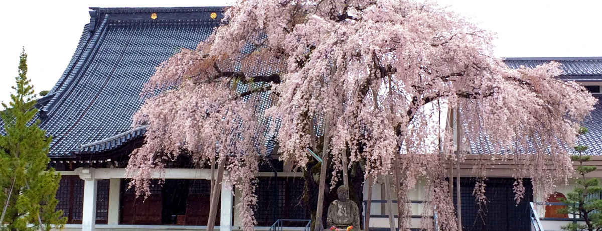 g{̕ɁhMBEѓcŏt𖞋iIEÍRc