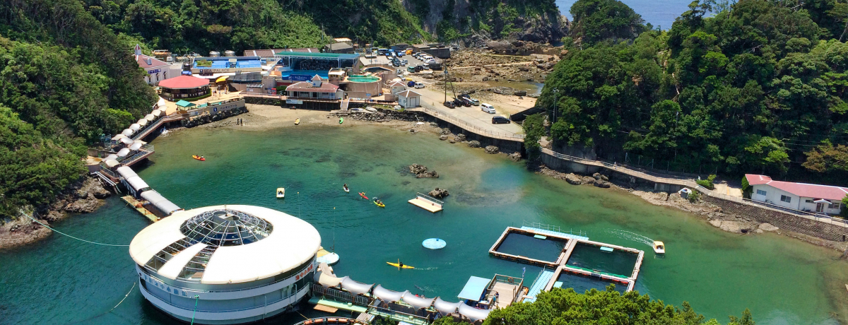 �ɓ��u���c�C�������فv�ŃC���J�ƗV�ڂ��I�n�C���x���ȃV���[�͕K��