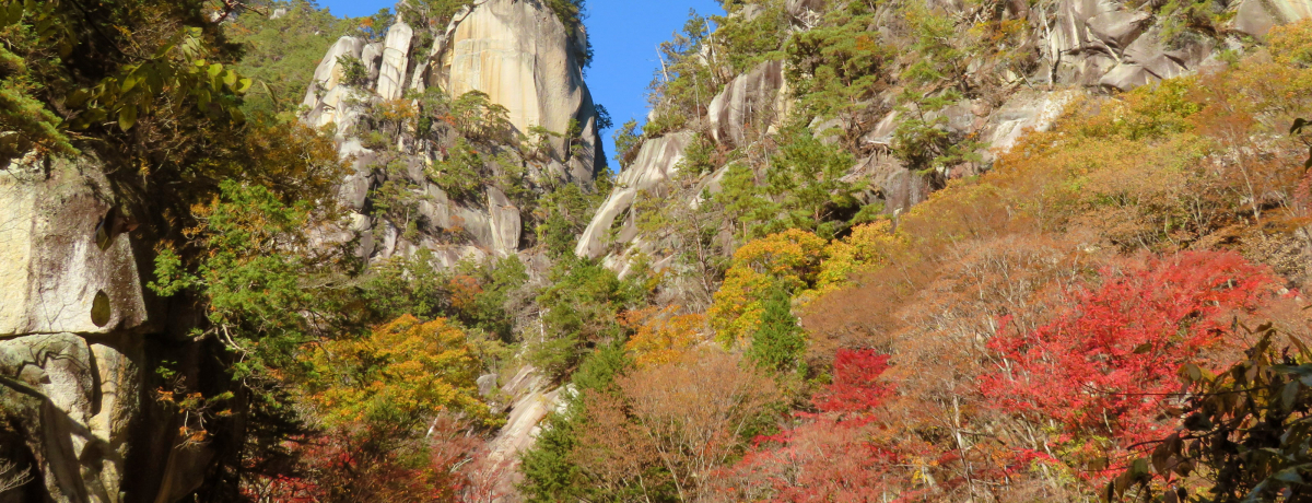 �R���u���勬�v�g�t�̊o�~��ɐ�M��I���{���w�̌k�J���������