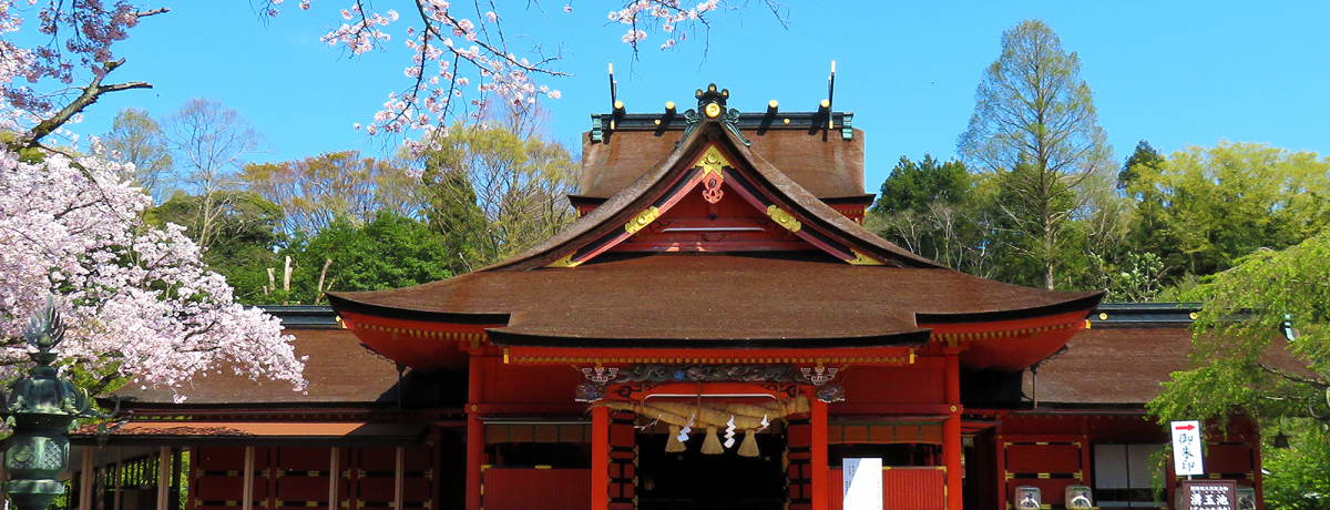 xmR_́Ixm{suxmR{{ԑЁv|Cg