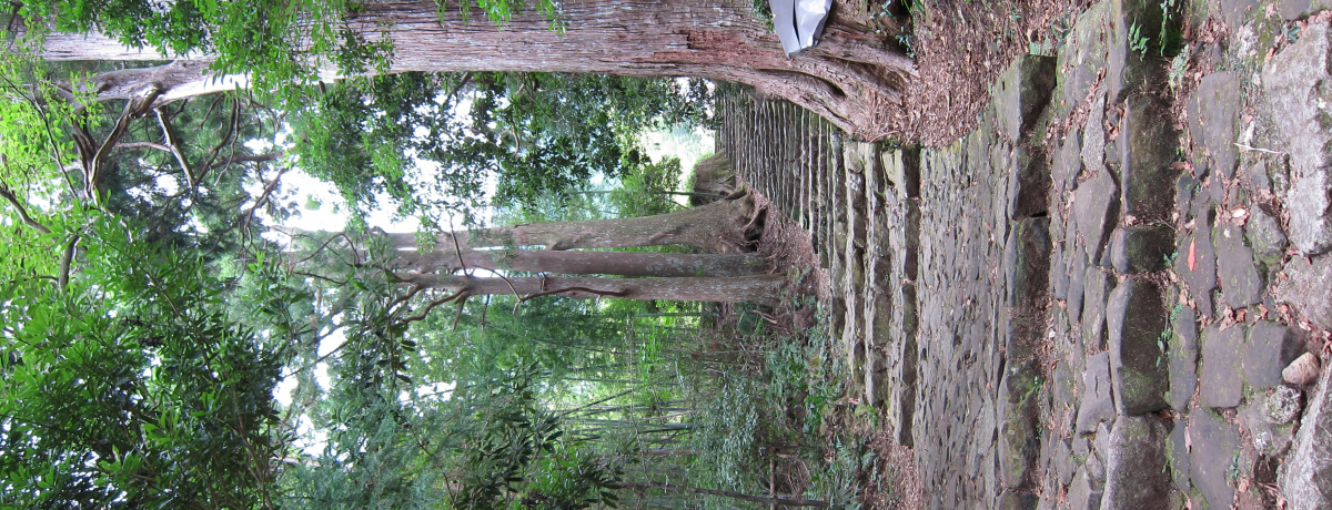 ���S�҂ɂ������߁I���E��Y�̃p���[�X�|�b�g�u�F��Ó��v�̕�����