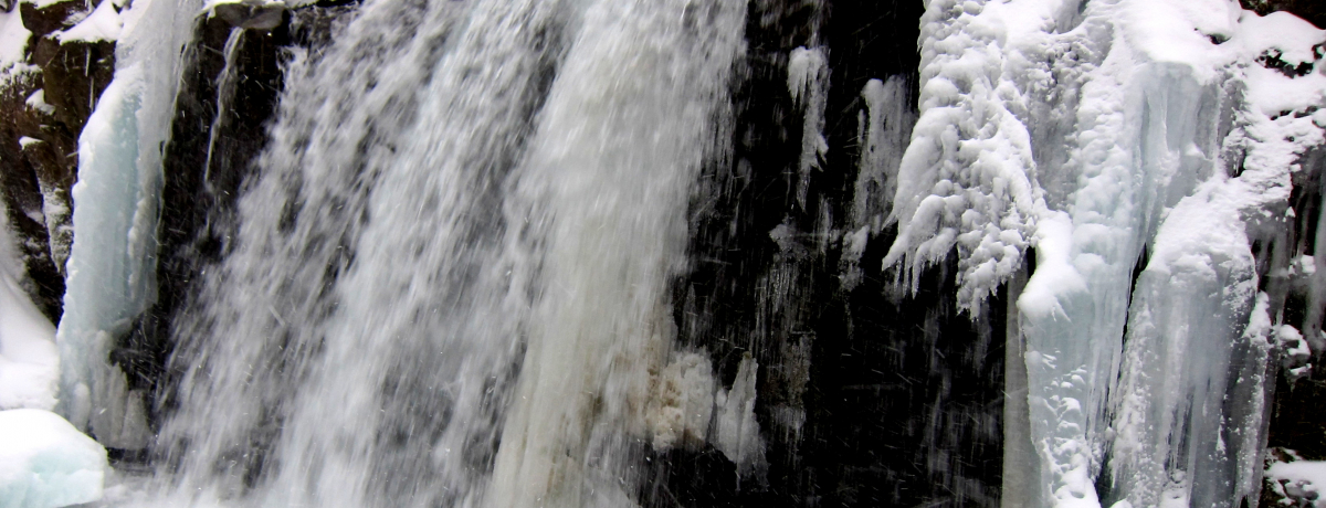 �������I��ƕX�ɍʂ�ꂽ�������k���ŁA�Î�̎��R�������\