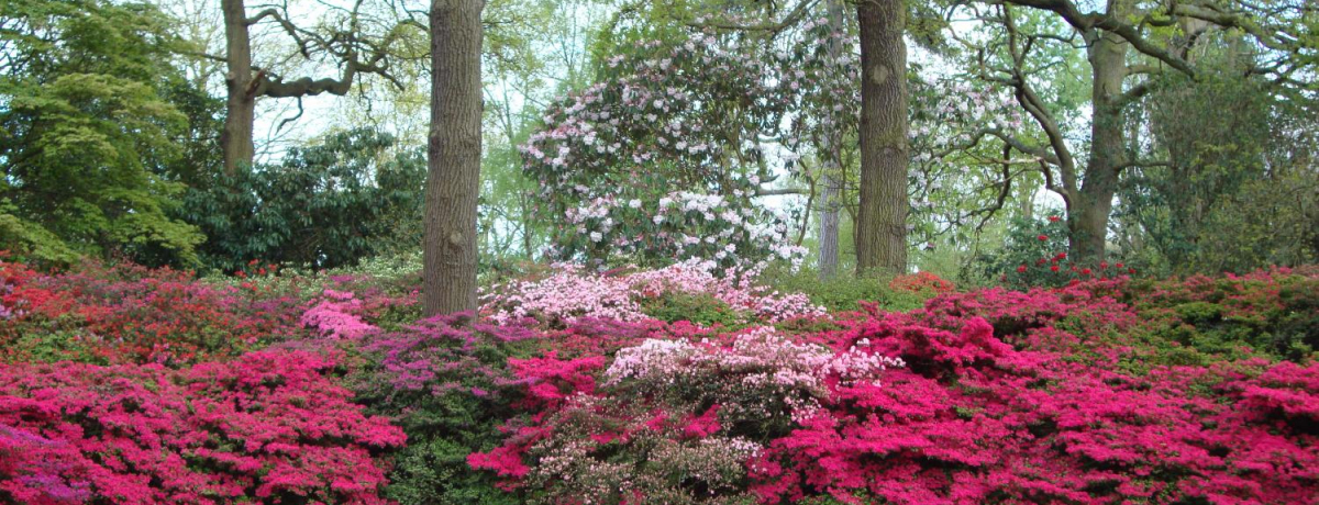 �����h���x�O�u���b�`�����h�v�e���Y��Ɣ������΂̋�Ԃ𖞋i