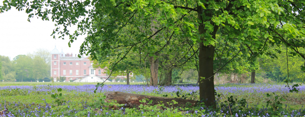 �����h���u�I�X�^���[�p�[�N�v�C���O���b�V���u���[�x���̌Q���n