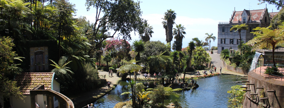 ue{aMѐAv|gK̃}fC̗z