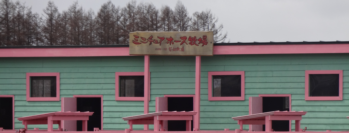 炿̂q܂喞@L[ԔqŌCςV񂶂ႨI