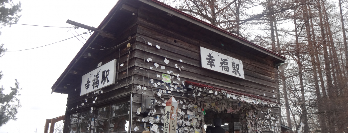 �K���w���A�����킹�s���I�I�E�F�f�B���O�̌����ł���w�ŁA��l�̋������k�߂悤