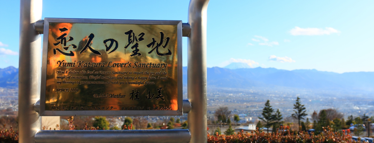 V{OiƗl̐nɔFIRuJt[cv