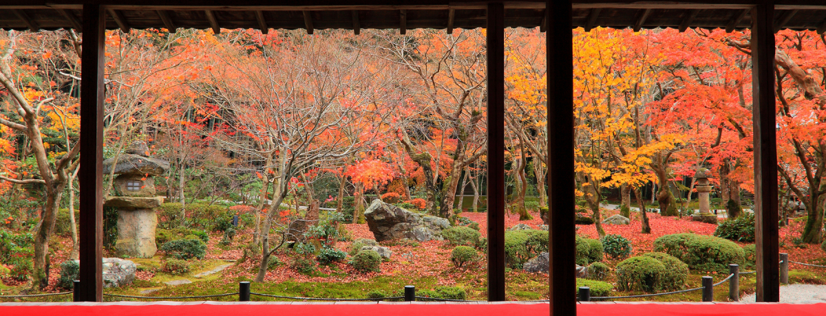 �^���Ԃȍg�t�Ɩ����͎̌R���͕K���I�ӏH�̋��s�u�������v