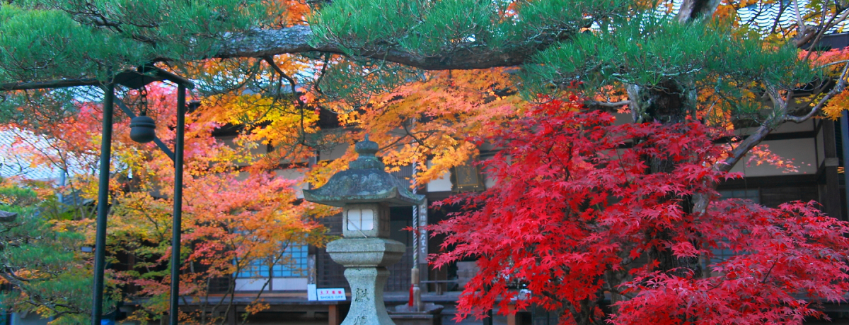 �K�K�I��T���̗���ɘȂލg�t�̌���I���s�u�ŏ��@�������v