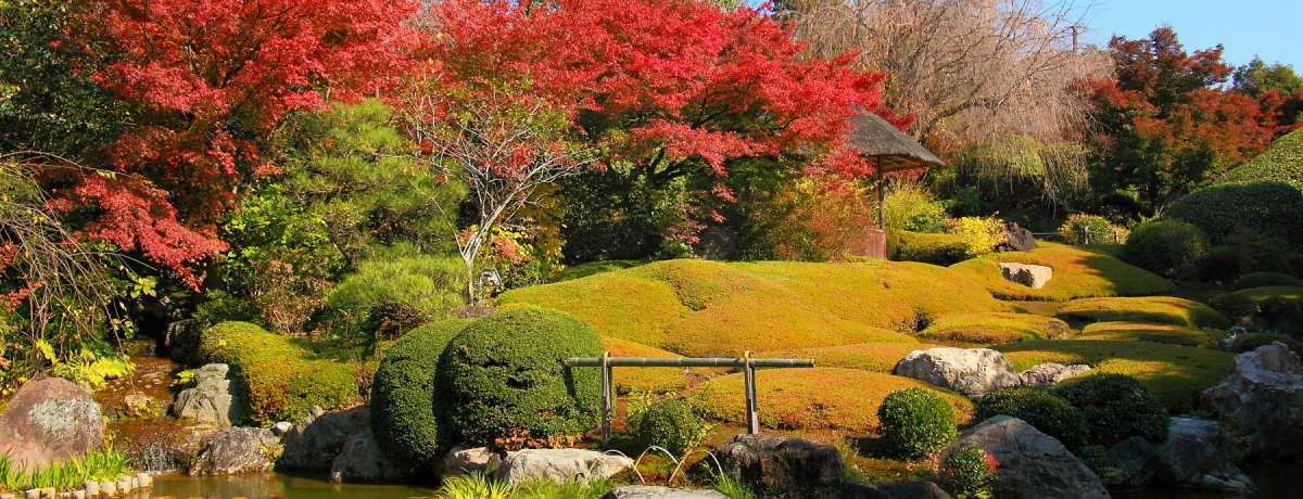 �f���炵���g�t�g���l���ƒ뉀�ɑ��^�I���s�ԉ��́u�ޑ��@�v