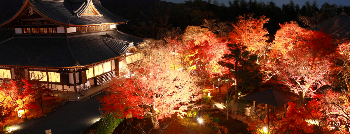 ���Ԍ���I����ۂޔ������̍g�t���C�g�A�b�v ���s�u�@�@������v