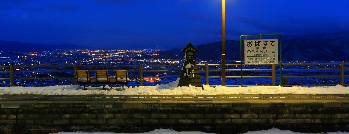 XCb`obNwŗLȒuH̉wvi𒭂߂悤I