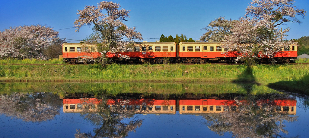 tFڂȏa̐E֏oisIucvBeX|bg5I