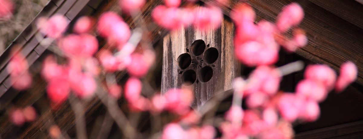 {OV{̈I~̉ԂYȊqu`V_Ёv