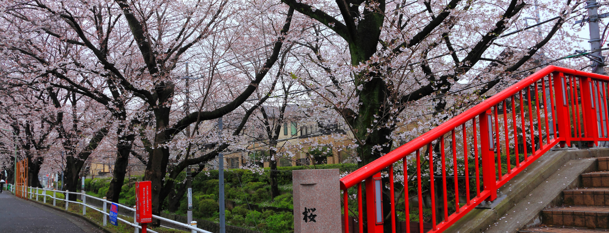 ���R�뎡���񂪉̂��u����v�̕���͑�c��c�����z�ɂ���I