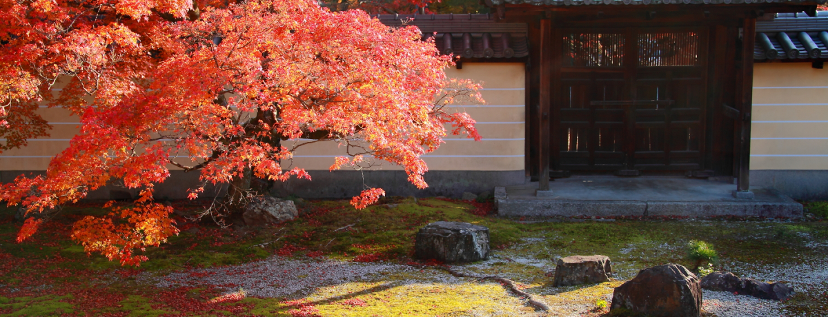 ZX̒ɂgťꎛ@I뉀su@v