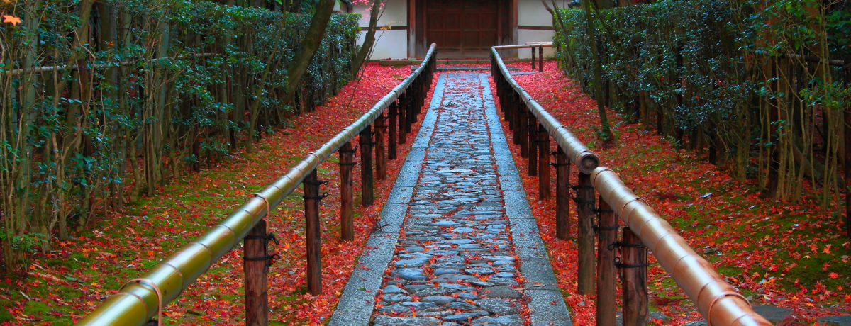 KIőO̍gty߂鋞su哿v̓SI