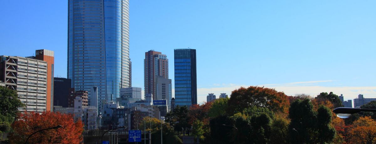 AChO[v̖̌uT؍vu₫v̖Ƃ́H