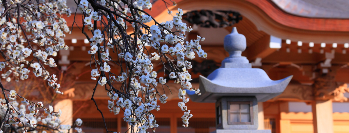 Bꂽ~̉Ԃ̖͒]悵IcxÓu{^v