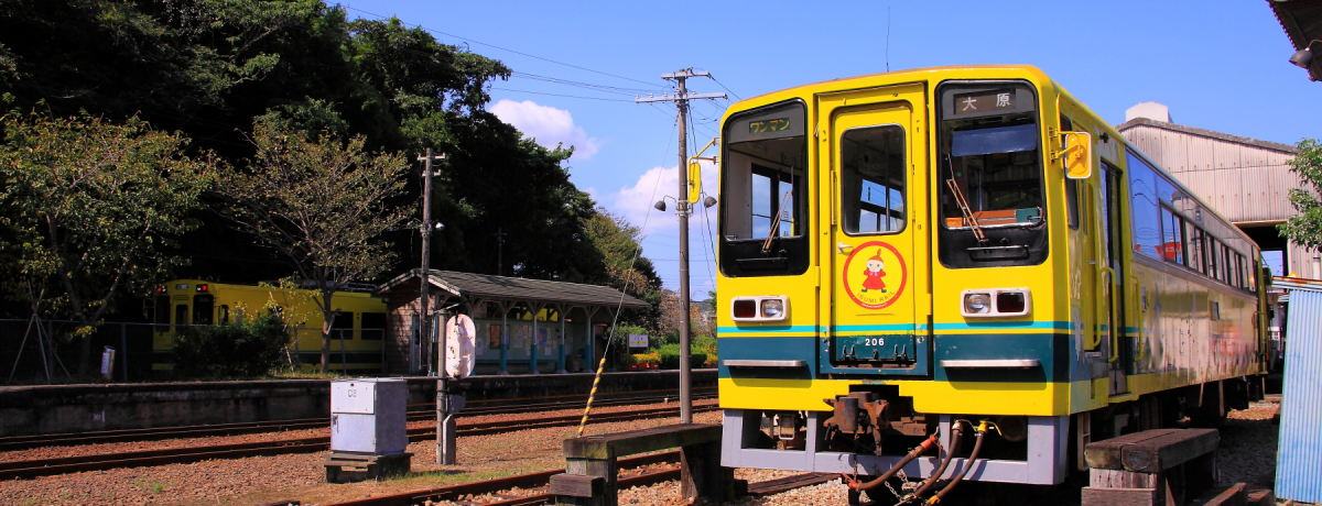 {䂩̒nόIt命쒬IXXSI