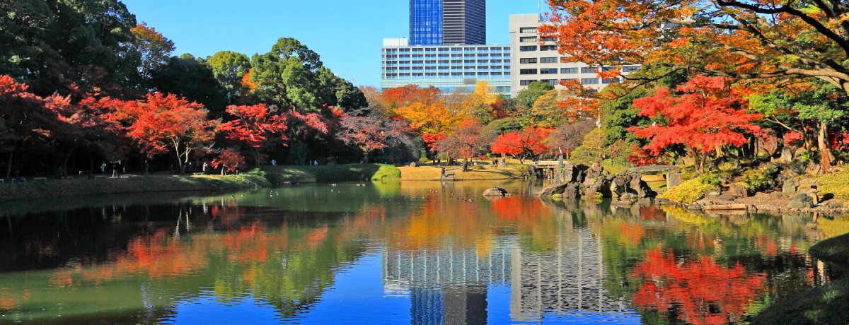 sS̐^񒆂őf炵gtqIuΐyv