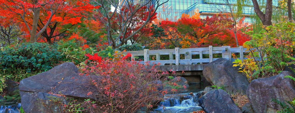 �g�t�̉B�ꂽ�������Ēm���Ă��H�����~�b�h�^�E���u�w�������v