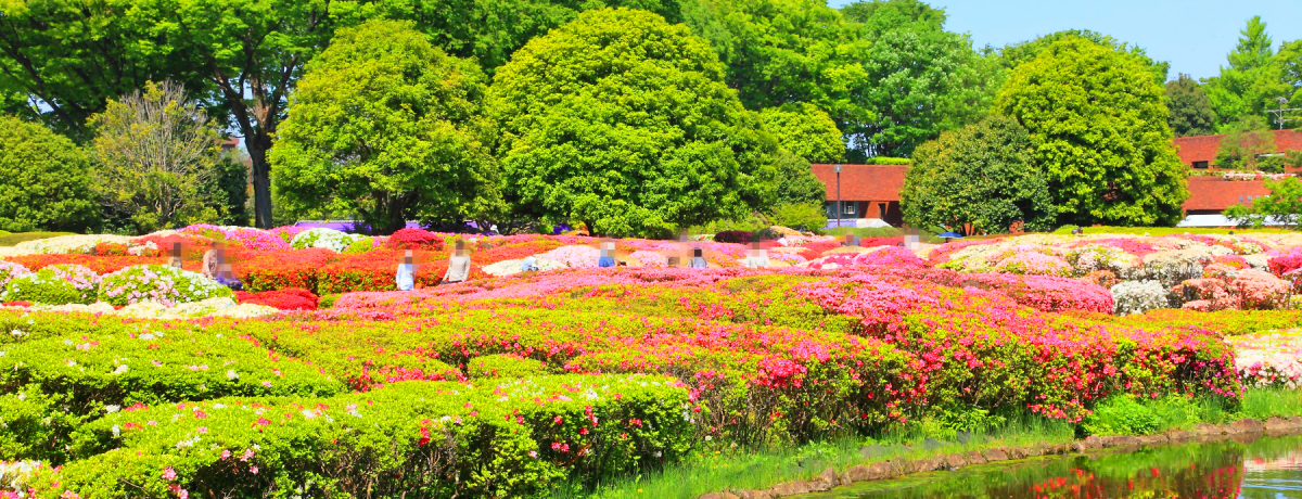 GW���_���ځI�l�X�ȉԂ��炭���z�s�u�_��A�������v�̓X�P�[����I