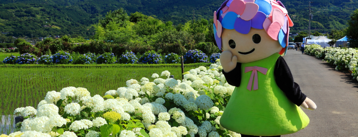 c͂ގzԂ͖₵ʁIJu̗v