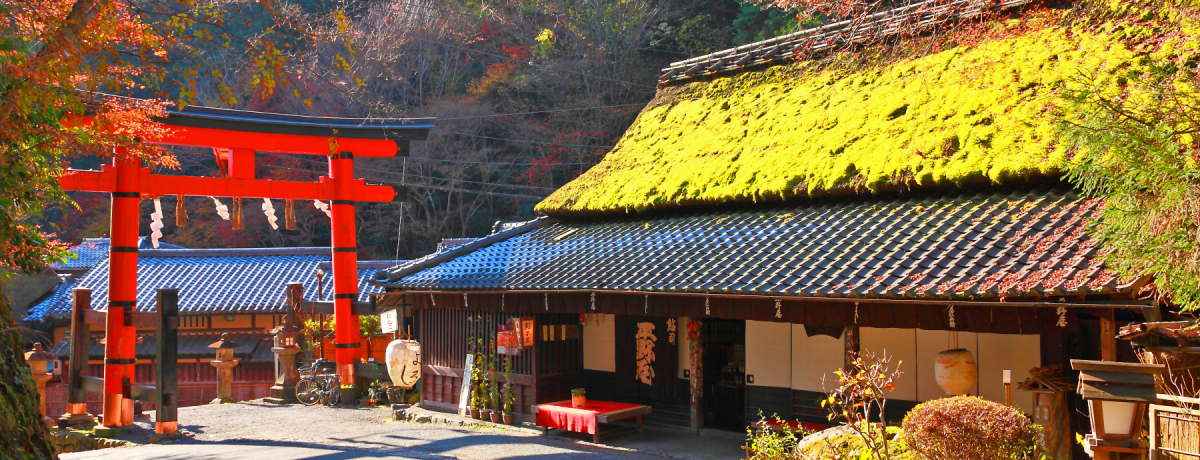 RXɈ͂܂ꂽ~ōgtyIsu㒹{v