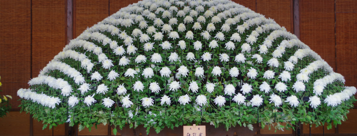 [܂HɐVh䉑ōc䂩́ueԒdWvyށI