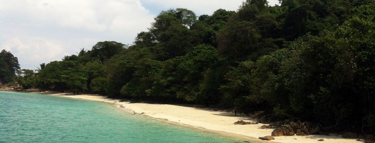 ���R�������ς��I�^�C�E�`���[�����Ŋy���ރV���m�[�P�����O�c�A�[