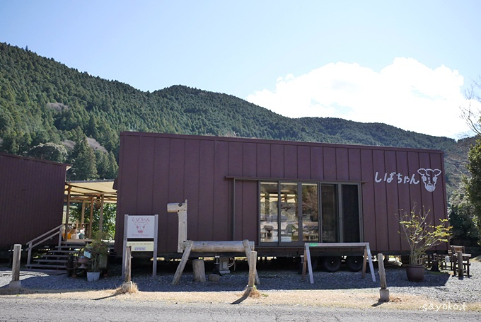 �É����|��u���΂���񃉃��`�}�[�P�b�g�v�ŔZ���~���N�X�C�[�c�O��