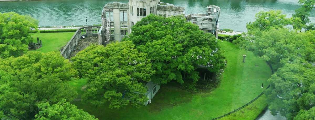 �L���̐V�����u����Â�^���[�v���猩�錴���h�[���̐�i�I