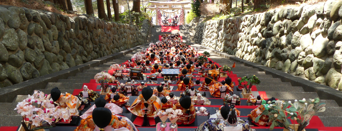 Ԃfᵚj_Ђ̒iIɓ́û邵܂vŏt𖞋i