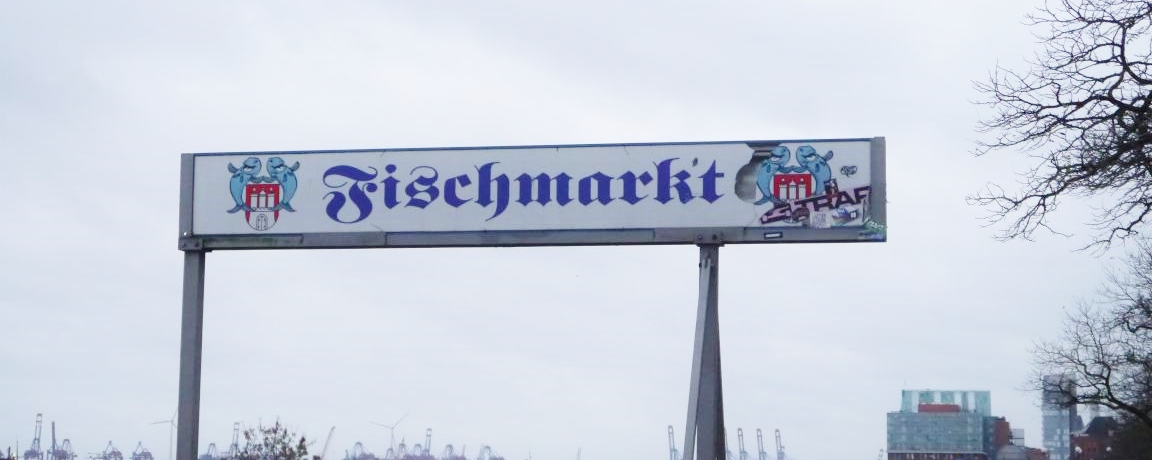 nuN`̒sŁAȔ̔V[tBbVThI