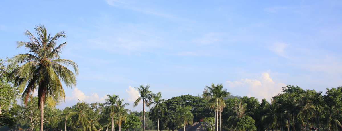 ^CŉƈꏏɃEh!?ovStNu