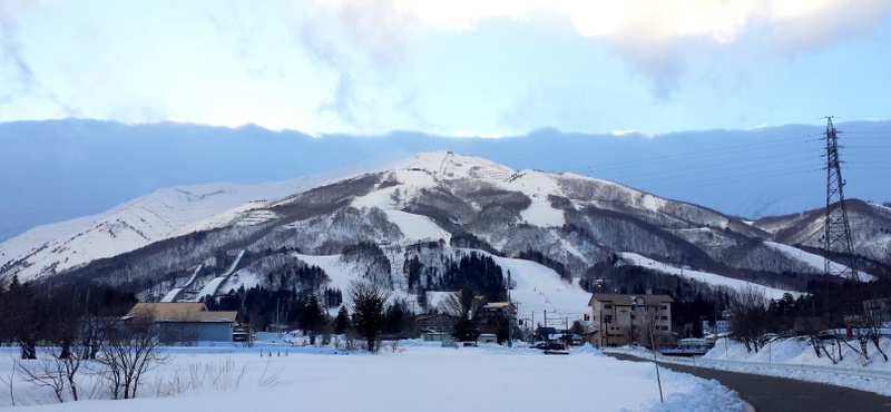 IsbNfr[IHunv͒Ny߂QfI