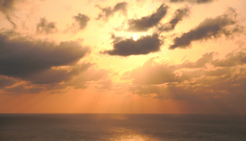 �������i�F�͂ǂ�H�u���}�������E�����v�ɂ���W�]���O���r