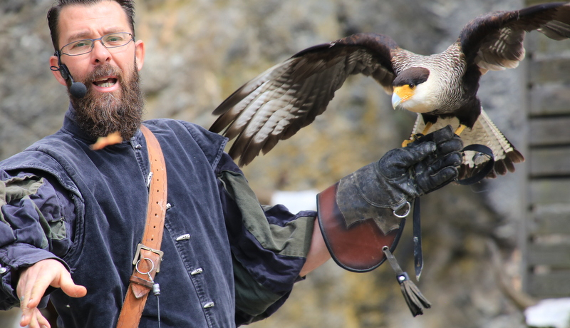 ̌ÏŃnuTAtNEIxM[uuCv