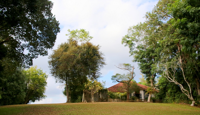 ЂƂ̌zƂ߂gzhɁIXJukKKv