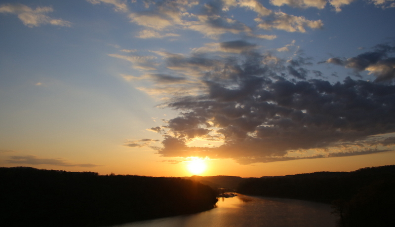 �������`�����󒆎U���I�C���m�C�B�K���[�i�̋C���c�A�[