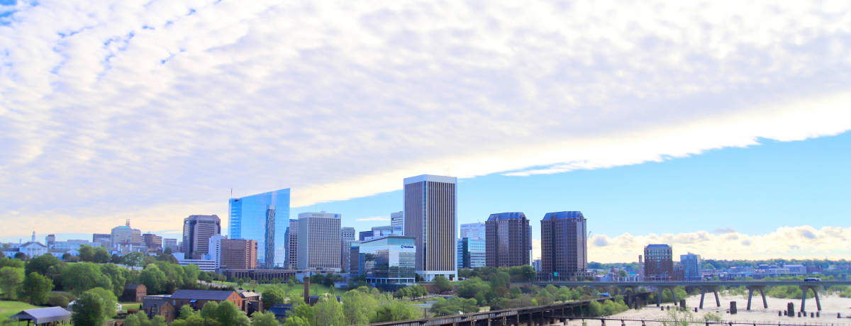 �č��j�̗���l�B�o�[�W�j�A�B�s���b�`�����h�̌��ǂ���T�I