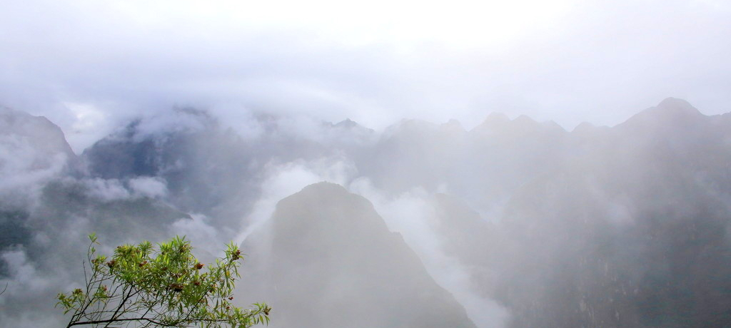 �}�`���s�`����������Ȃ��I�o�R�r������i�����ȁu���C�i�s�`���v