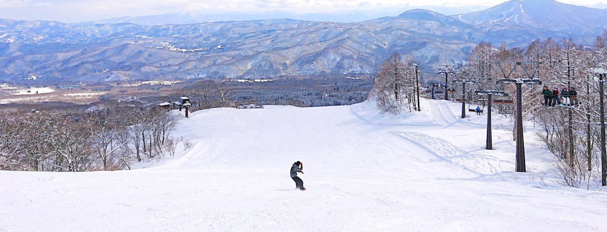 VuԑqXL[vՂȓVRႪn^Qf