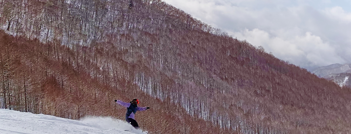 uXL[vɏpE_[ƑʃR[XŃsoI